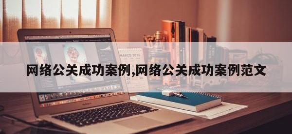 网络公关成功案例,网络公关成功案例范文
