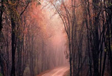 网络推广哪个平台好用,网络推广赚钱平台有哪些