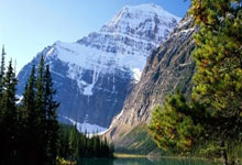 网络公关的种类包括哪些,网络公关的定义